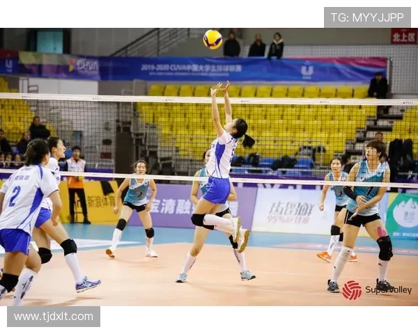 上海排球队总决赛精彩表现分析团队协作的重要性与未来展望