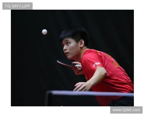 从零起步掌握乒乓球战术技巧全面指南助你成为乒乓高手