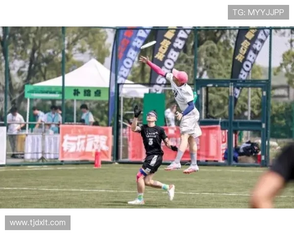 南京飞盘队在滑板精英赛中的比赛经验与表现分析