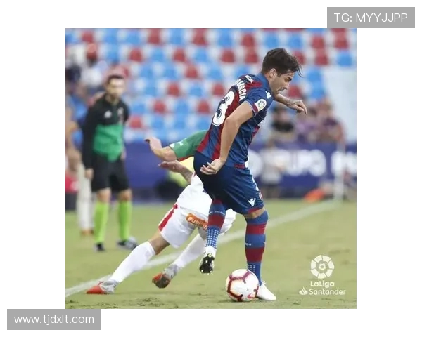 南京足球队积分榜领跑66分展现强劲实力引发关注