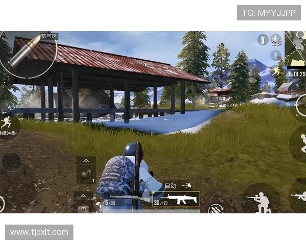 和平精英V5版本深度解析：如何掌握盯防技巧提升游戏胜率