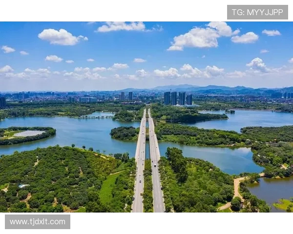 广州城市马拉松评析：极限运动队的状态与表现全景观察