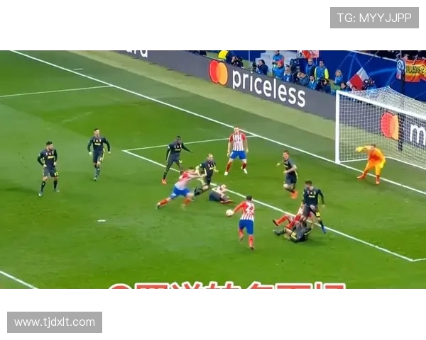 球迷冲进场内抢C罗球衣引发欧冠赛场奇葩一幕 球迷冲进场内抢C罗球衣引发欧冠赛场奇葩一幕