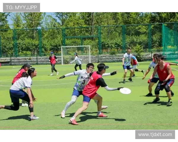 飞盘竞技新风潮：探秘北京飞盘队的速度与激情之旅