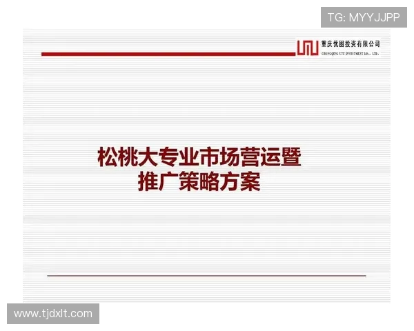 深入分析成都排球队的运营策略与市场推广模式