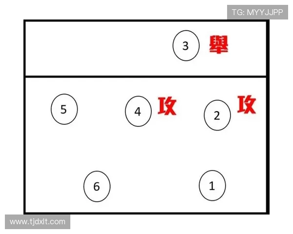 武汉排球队进攻战术分析与球队表现的深度解读
