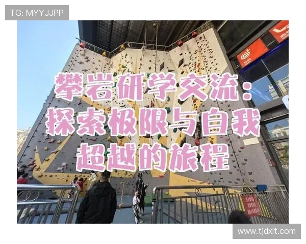 深入探讨上海攀岩队各成员力量差异与训练成果的全面分析